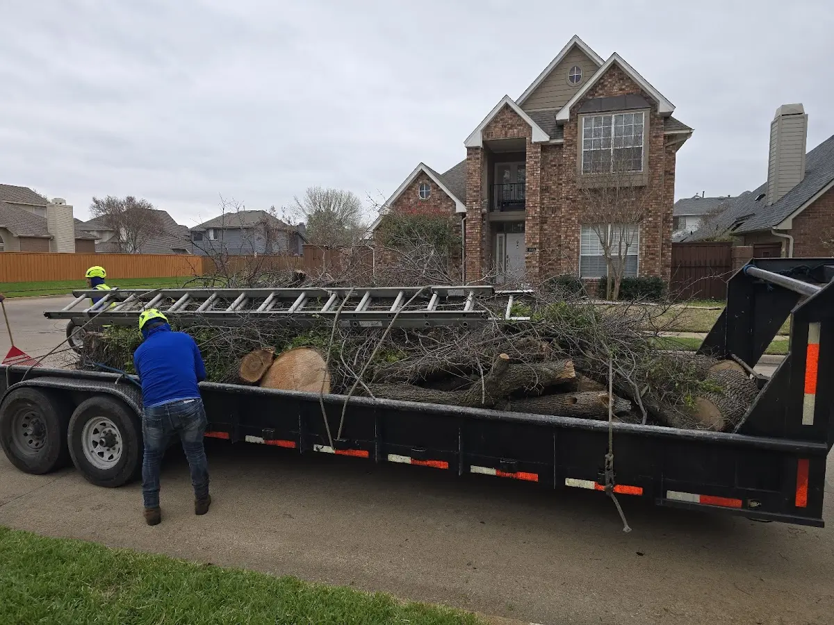 Expert Tree Pest Control with proper safety equipment in La Verne